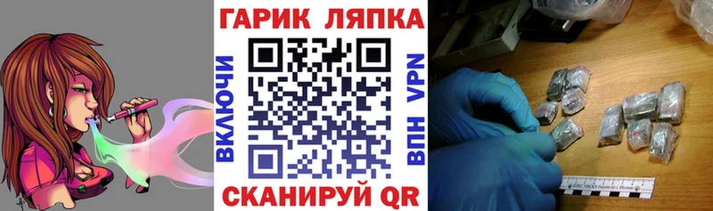 ГАШ Изолятор  Купить где  Сегежа 