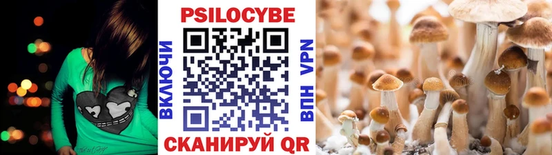 Купить закладки  Сегежа  Галлюциногенные грибы MAGIC MUSHROOMS 